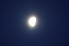 DSC03249