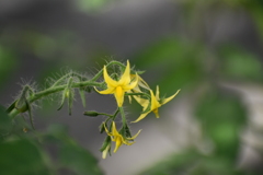 DSC_1089_1