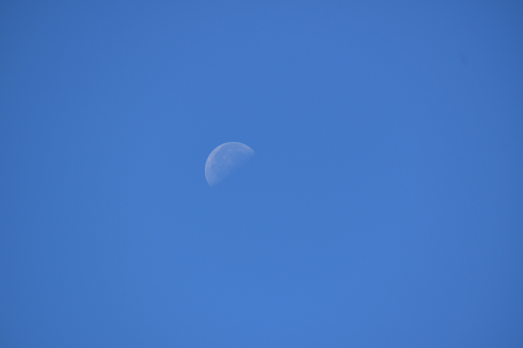 青空に浮かぶ月