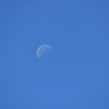 青空に浮かぶ月