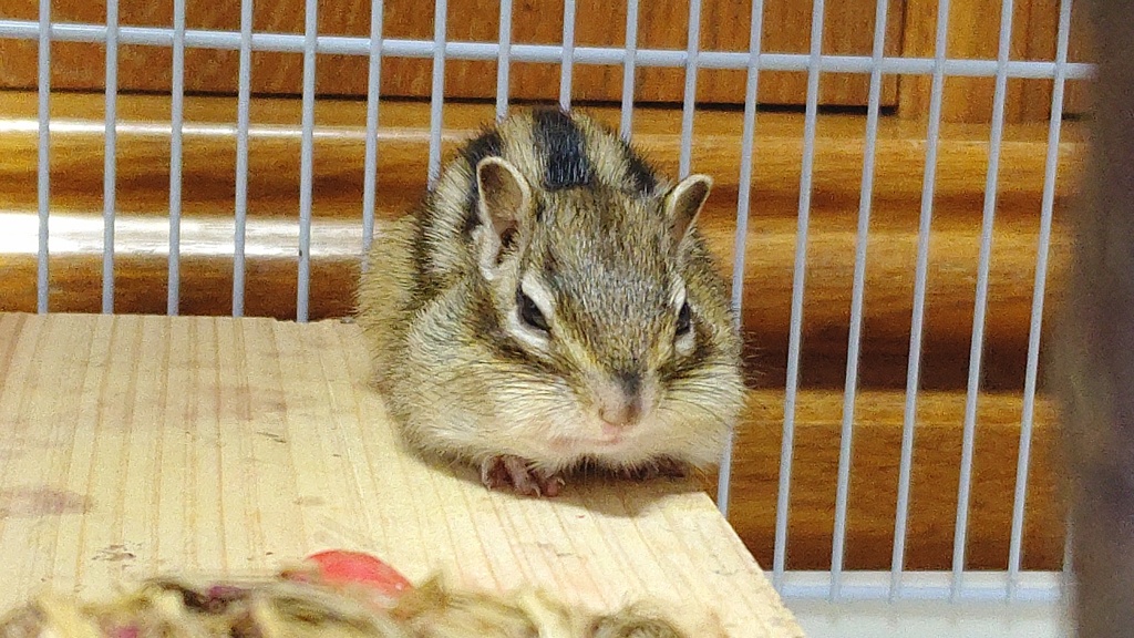 STORYPIC_00002318_BURST220101072653