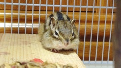 STORYPIC_00002318_BURST220101072653