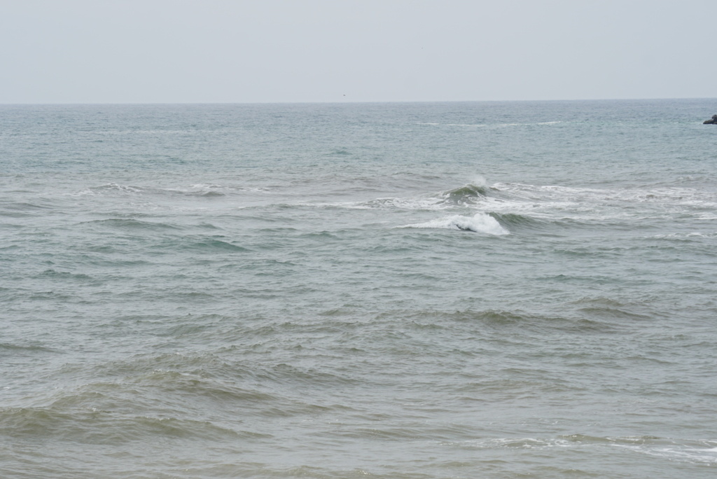 DSC04750