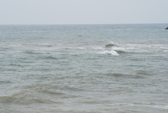 DSC04750