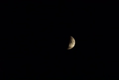 DSC05333