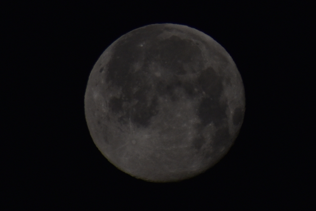 DSC_0885_2