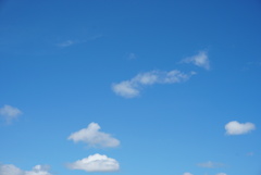 DSC09908