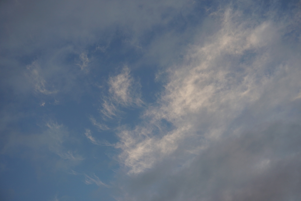 DSC01361_1