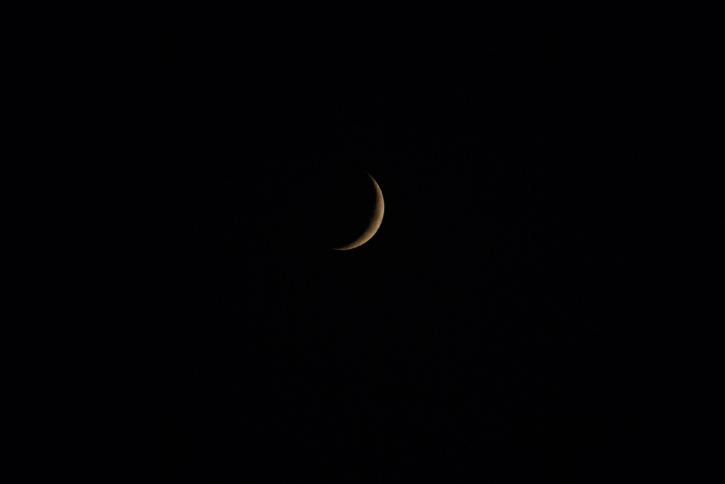 DSC00086
