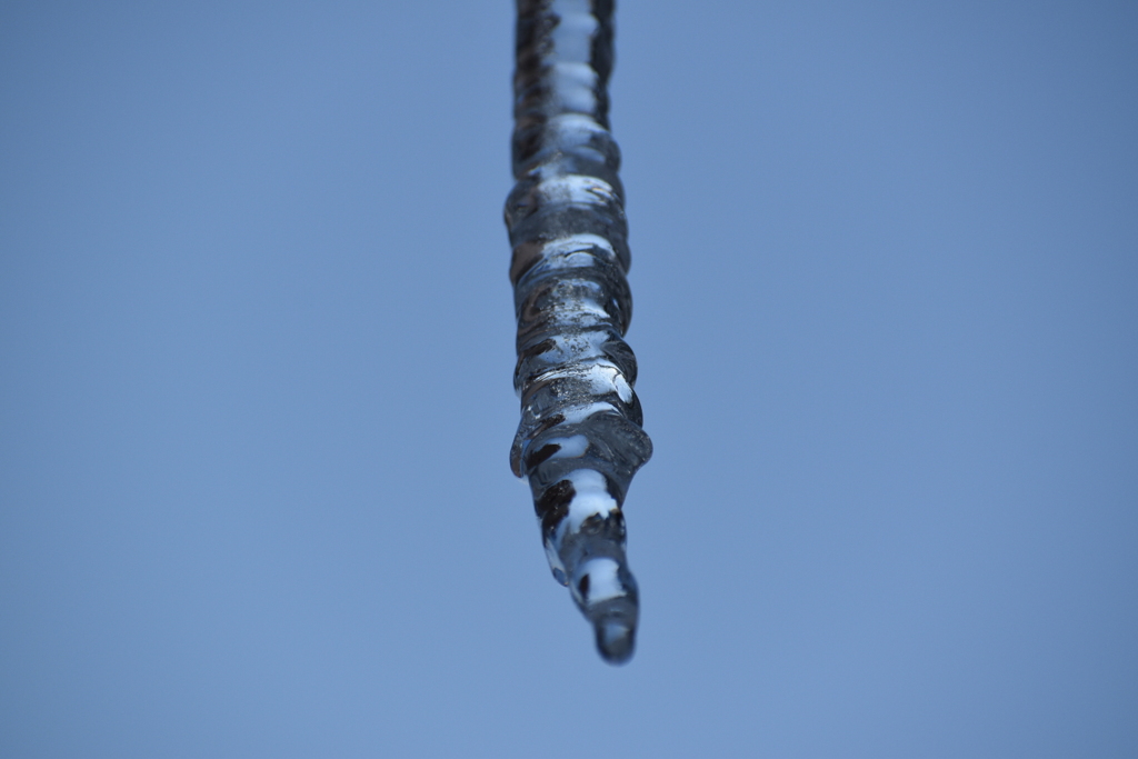 DSC_0987_3
