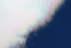 DSC01309_1