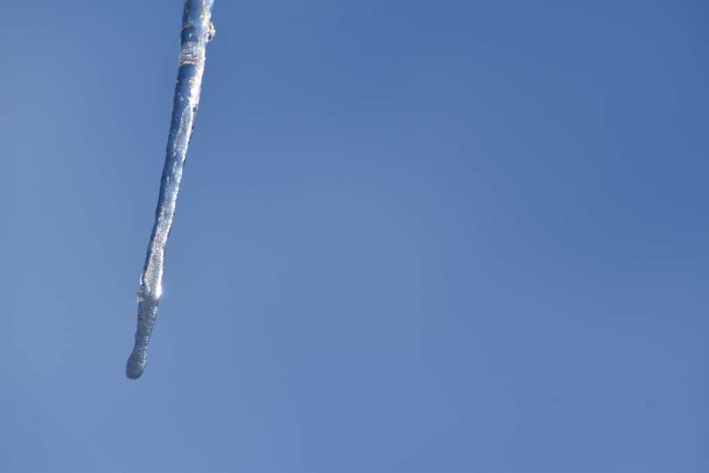 DSC_4305