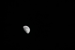DSC08162_1