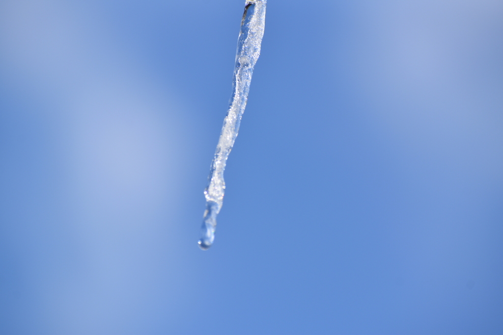 DSC_4319