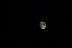 DSC00684_1