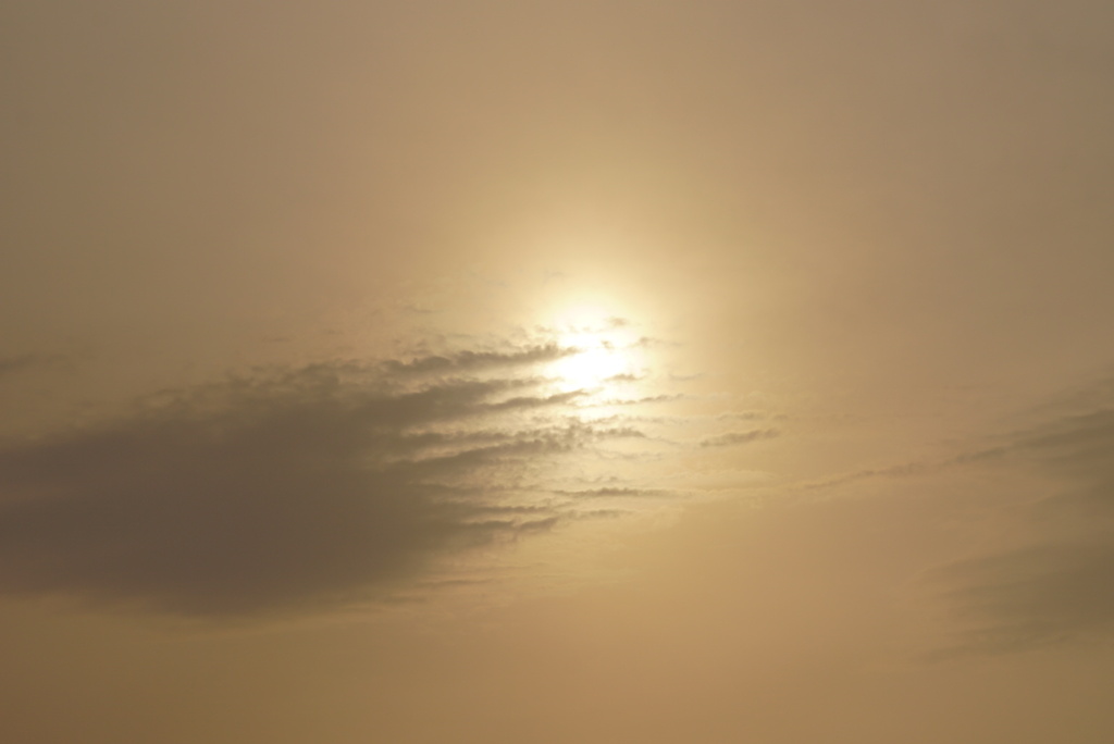 DSC09347