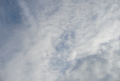 DSC00059_1
