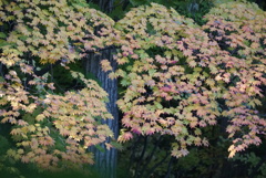 DSC00508