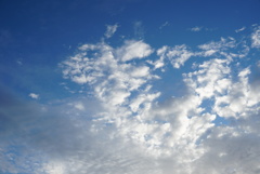 DSC06985