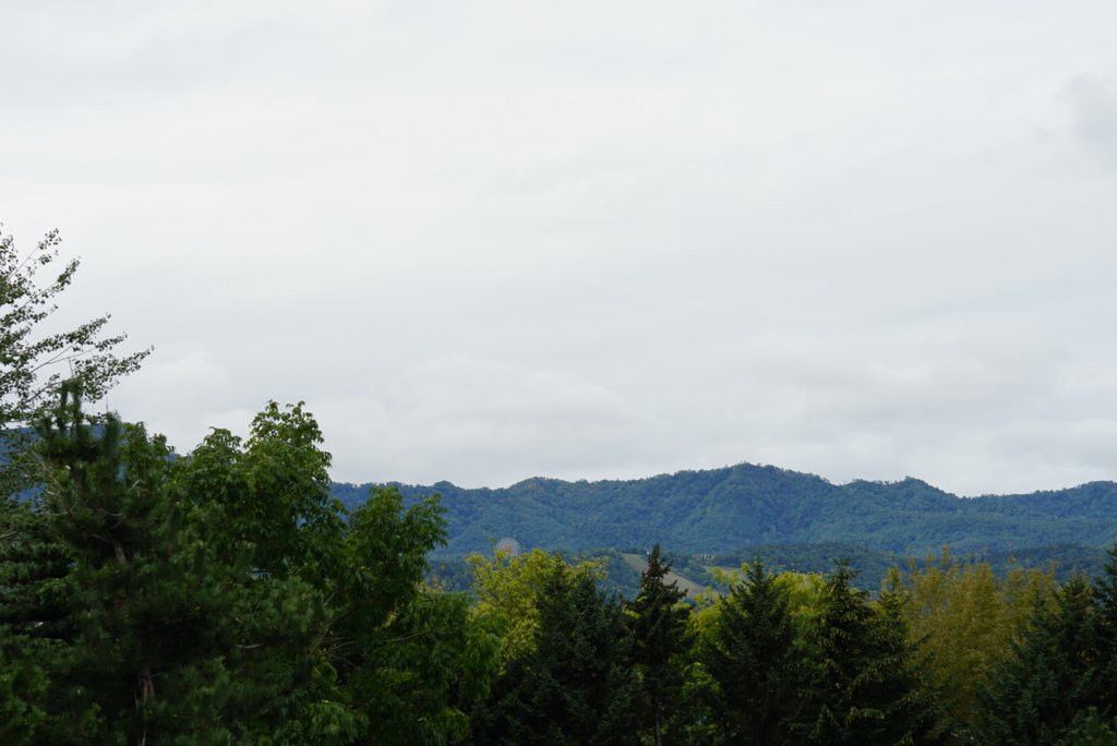DSC05668_2