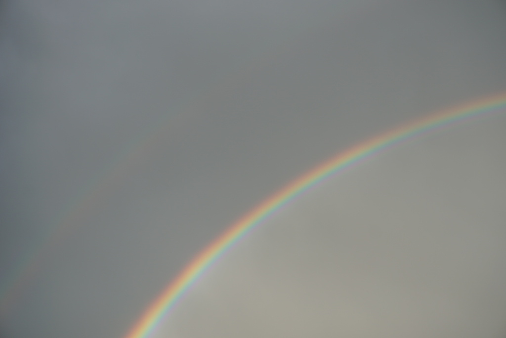 DSC08156