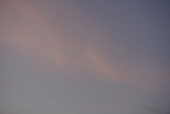 DSC05736
