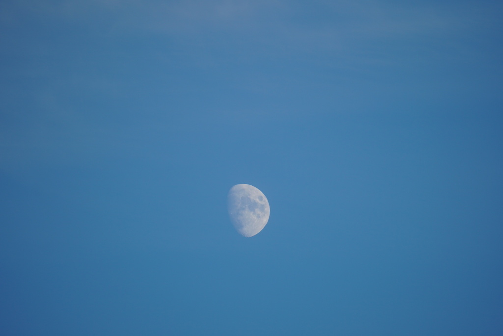DSC00527_3