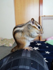 IMG_20230202_123544