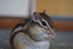DSC07548
