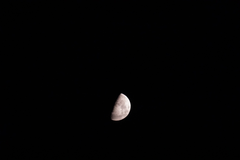 DSC04860_1