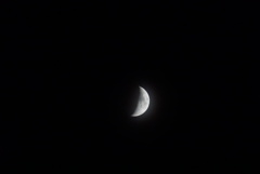 DSC00091_1