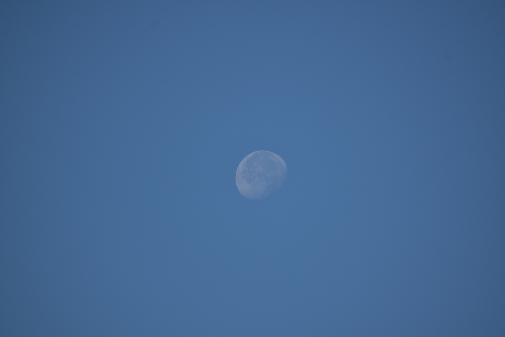 青空に浮かぶ月