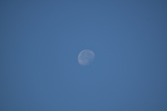 青空に浮かぶ月