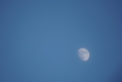 DSC02709_1