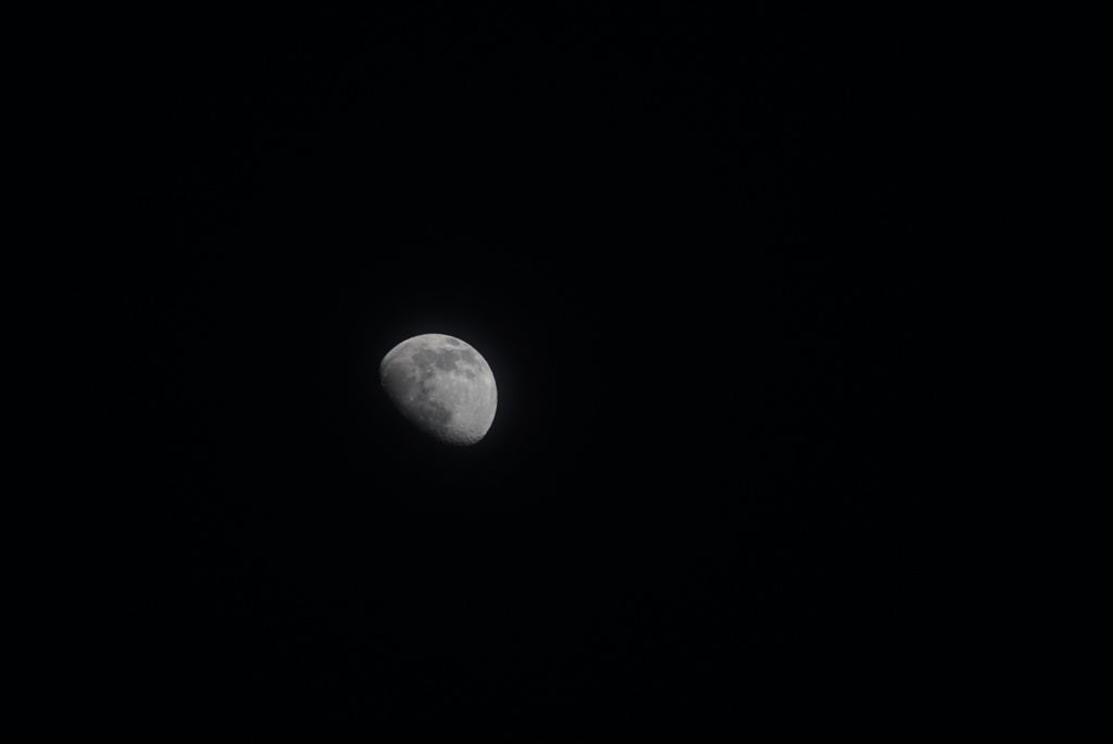DSC08210_1