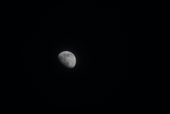 DSC08210_1