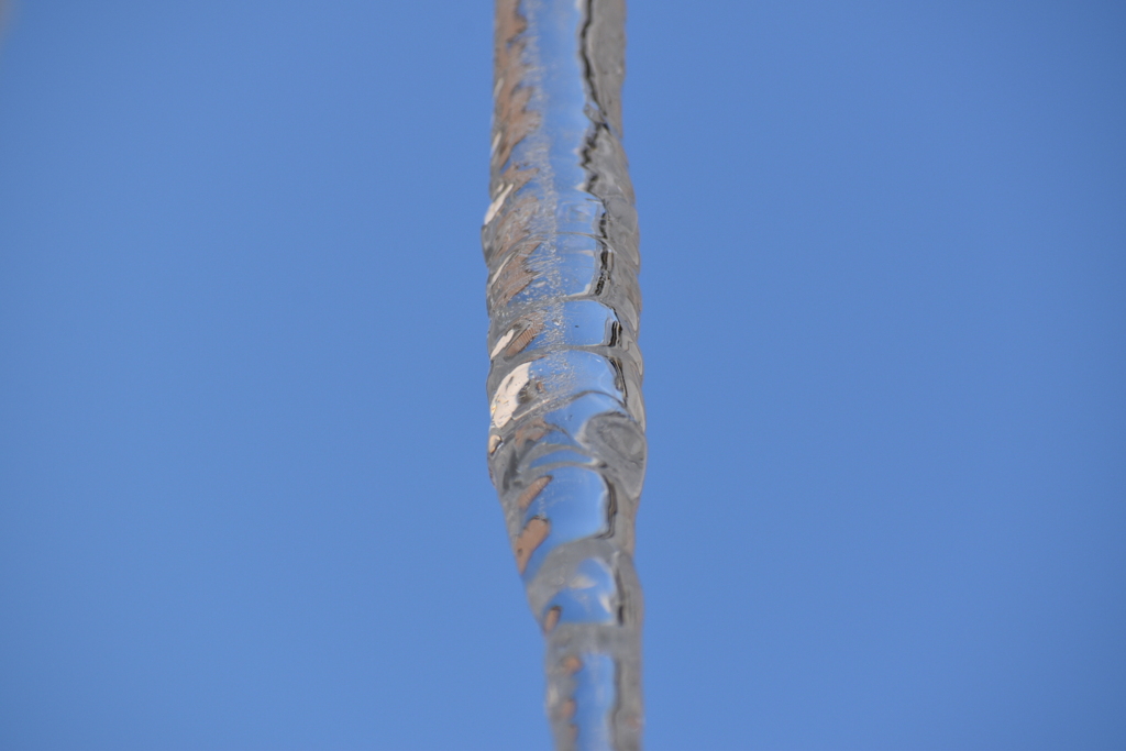 DSC_1000_1