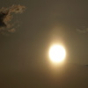 DSC07730_1