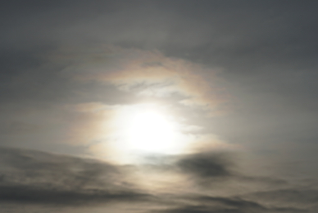 DSC04909