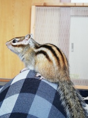 IMG_20221030_133300