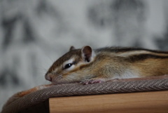 DSC06060