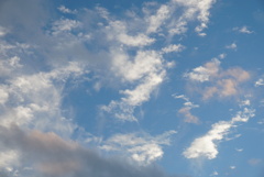 DSC01357_1