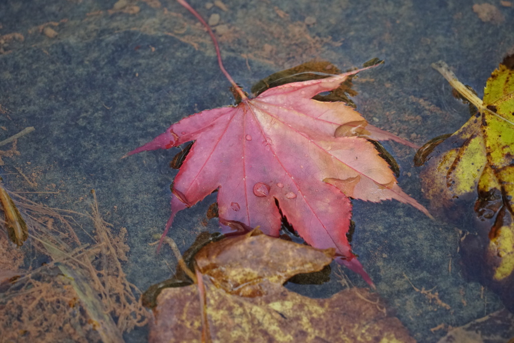 DSC00400