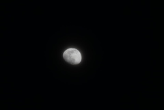 DSC08252_1