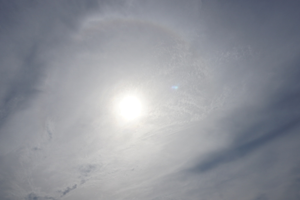 DSC08128_1