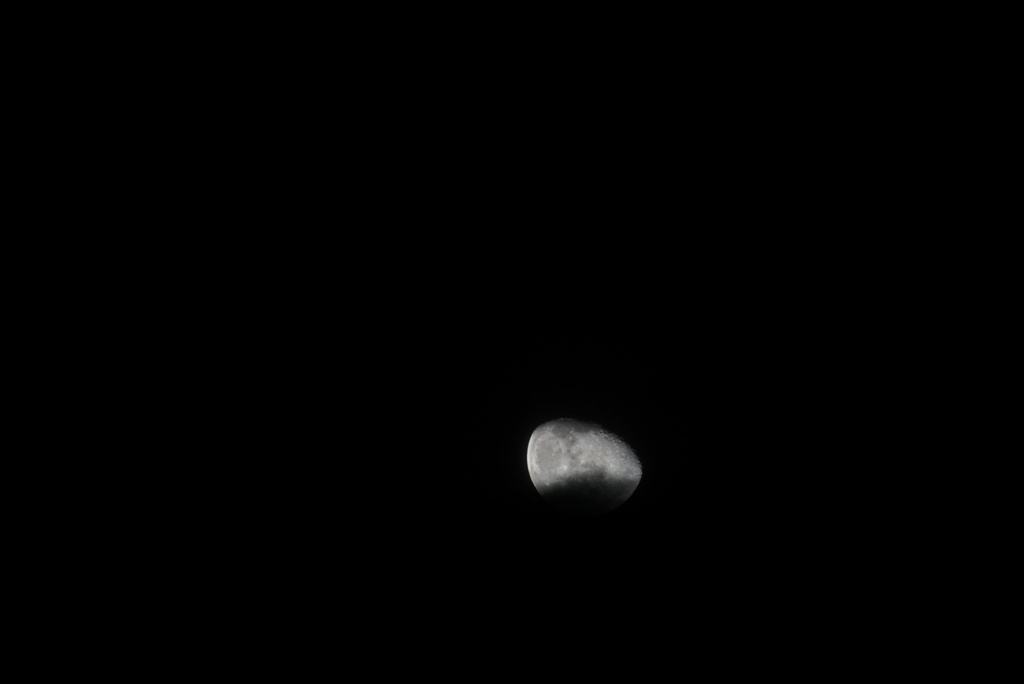 DSC03185_1
