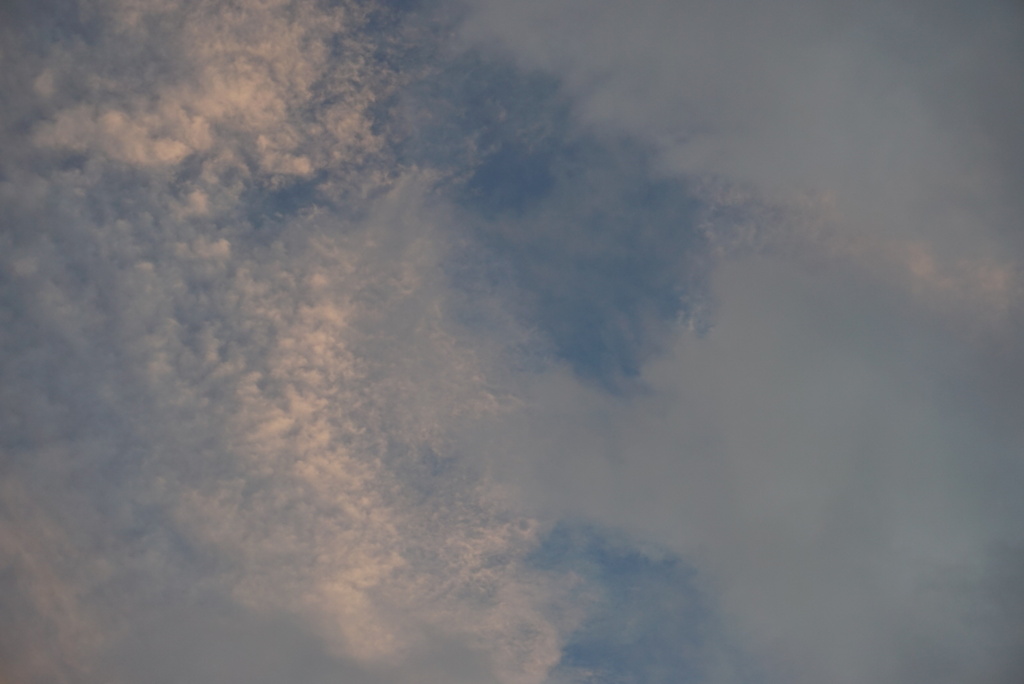 DSC01364_1
