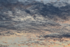 空