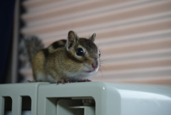 DSC05304