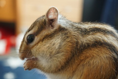 DSC00759
